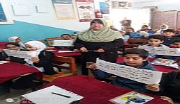 برامج توعية لترشيد الكهرباء بمحافظة شمال سيناء )