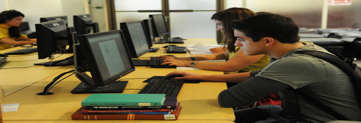 التعليم الابتدائى