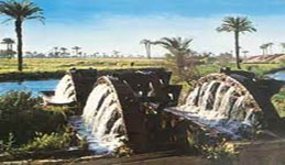 برامج توعية الفيوم 