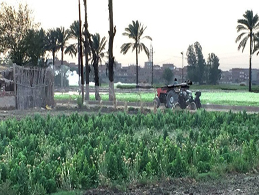 فيديوهات التوعية 