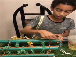 توعية القاهرة 